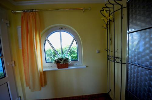 a bathroom with a window and a potted plant on a window sill at Eck-Reethaus-Kirchhaus in Groß Zicker