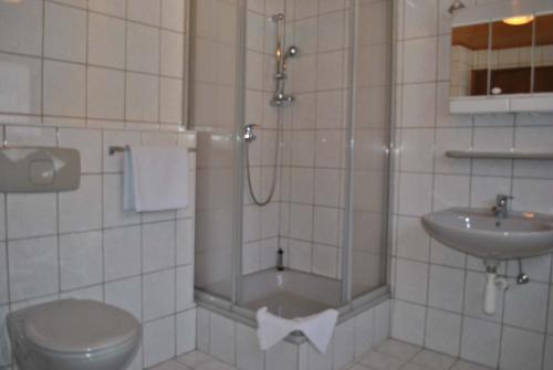 a bathroom with a shower and a toilet and a sink at Zur Alten Dampfsäge - Gasthaus-Pension Weber in Lindberg