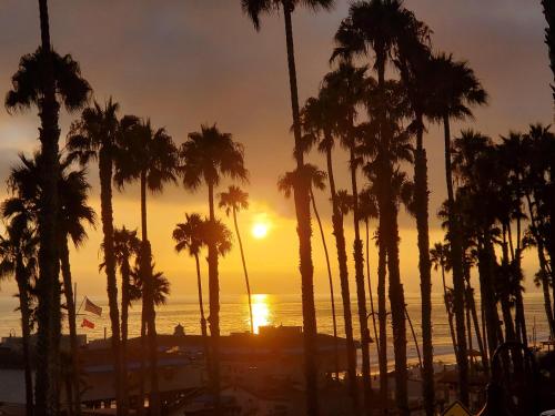 a group of palm trees in front of a sunset at Sea Horse Resort in San Clemente