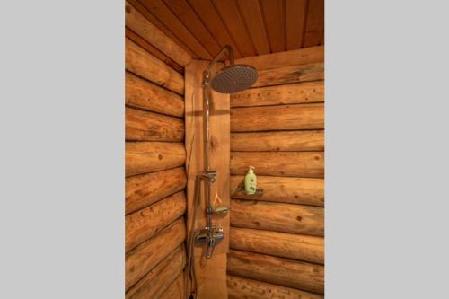 - une douche dans une chambre dotée d'un mur en bois dans l'établissement Baltic Getaway, à Käina