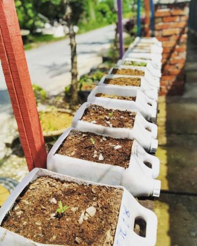 a row of white planters with plants in them at Rick Resort Teluk Intan in Teluk Intan