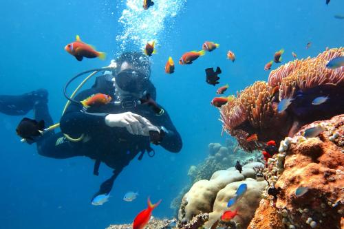 a person taking a picture of a coral reef at Kaani Village & Spa in Maafushi