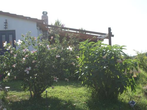 una casa con dos manzanos en el patio en Charming Holiday Home in Kritinia with Garden en Kritinía
