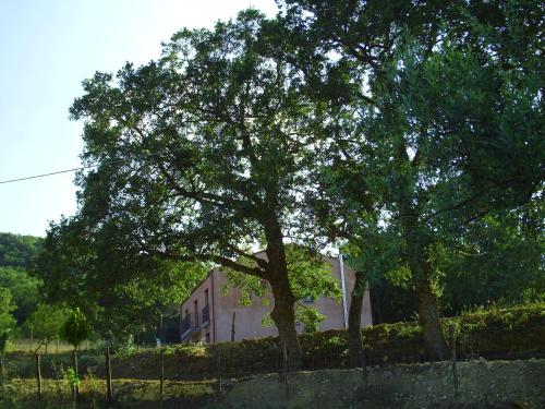 Galeriebild der Unterkunft Agriturismo San Pietro in Gangi