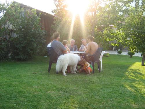 a group of people sitting around a table with a dog at Villa Dihovo in Bitola