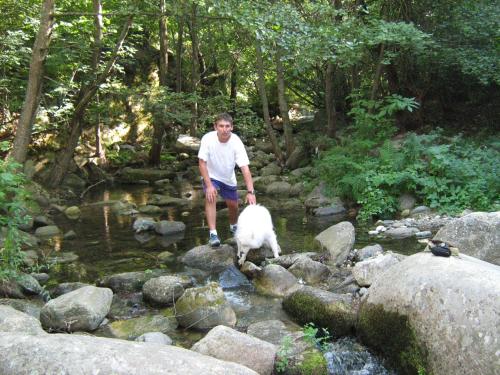 a man and a white dog crossing a stream at Villa Dihovo in Bitola