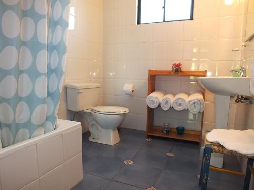 uma casa de banho com um WC e um lavatório em Lodge Mirador em Chillán