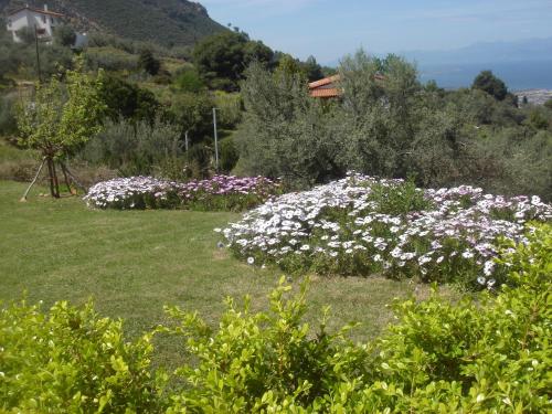 a garden with pink and white flowers on a hill at Hotel Theasi in Diakopto