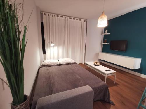 Apartamento RAL5021 en Triana junto al centro