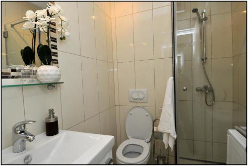 a bathroom with a shower and a toilet and a sink at Apartment Karmen in Dubrovnik