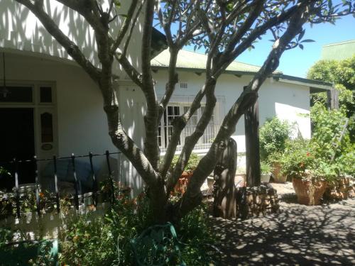 Κήπος έξω από το Valley Guest House