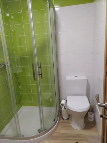 uma casa de banho com um WC e uma cabina de duche em vidro. em APARTAMENTO SENDA SUR em Porriño