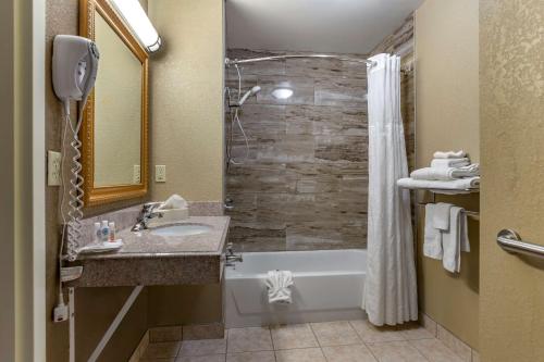 a bathroom with a tub and a sink and a shower at Comfort Suites Grand Rapids South in Grand Rapids
