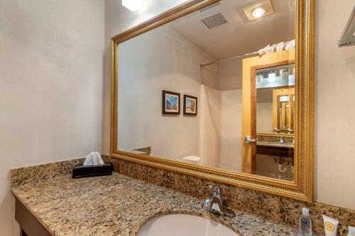 a bathroom with a sink and a large mirror at Comfort Inn & Suites Lees Summit - Kansas City in Lees Summit