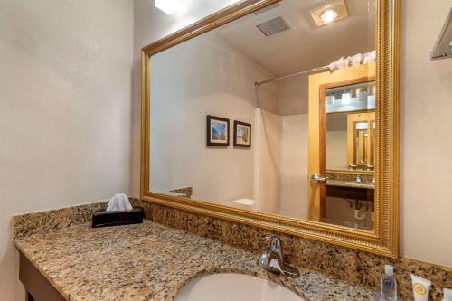 a bathroom with a sink and a large mirror at Comfort Inn & Suites Lees Summit -Kansas City in Lees Summit