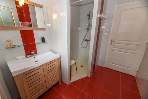 Un baño con lavabo blanco y ducha. en gîtes de l'Hôpiteau, en LʼOie