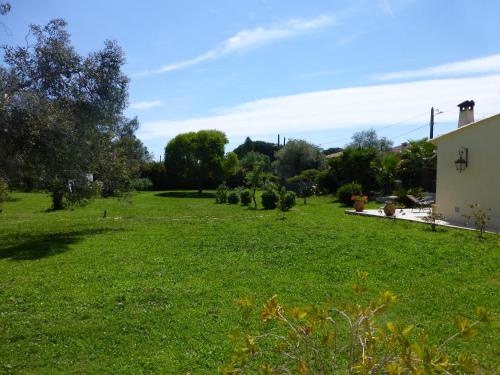 a grassy field with trees and houses at Chambre d'hôtes "La Bastide des Eucalyptus" in Antibes