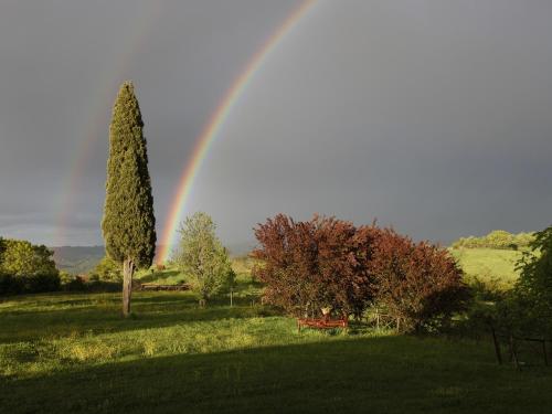 a rainbow over a field with trees and a bench at Agriturismo Spazzavento in Palazzone