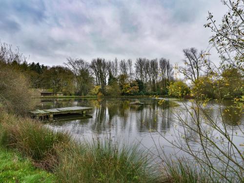 a bench sitting in the middle of a lake at Yew Tree Nook in Ashbourne