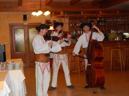 a group of people playing music in a bar at Hotel Julianin dvor in Habovka