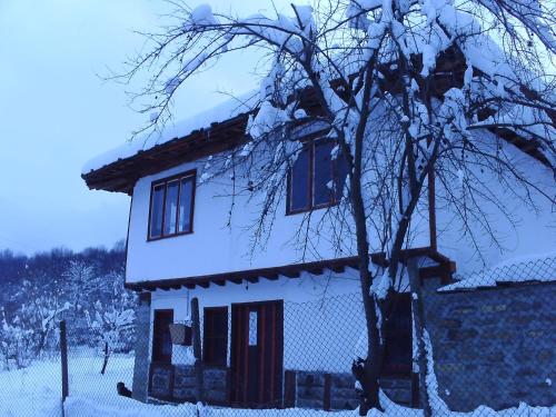 Guest House Four Pines en invierno