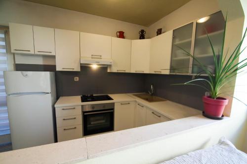 a kitchen with white cabinets and a potted plant at Apartments Radić in Bol