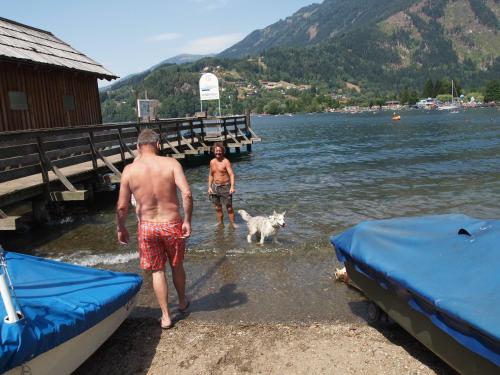 two people and a dog in the water at a lake at Landhaus Alpentraum in Kaning