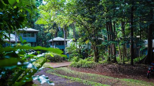 a path through a forest with a house in the background at Ferntree Rainforest Lodge in Cape Tribulation