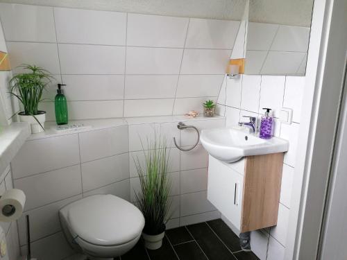 Baño blanco con aseo y lavamanos en Holiday Home in H ttenrode with private terrace, en Hüttenrode