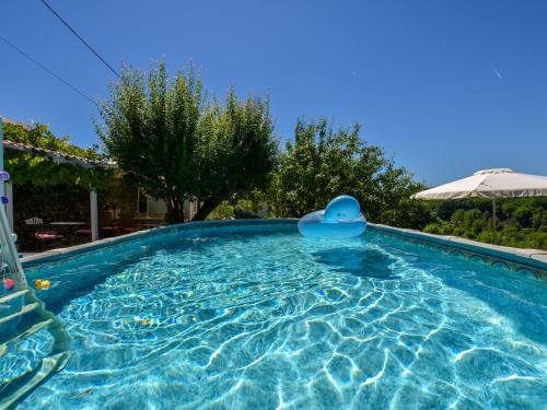 Villefranche-du-PérigordにあるCharming house in Villefranche du P rigordの水中の青い水のプール