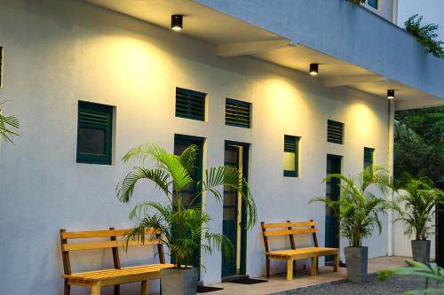 two benches sitting outside of a building with plants at Colombo Beach Hostel in Mount Lavinia