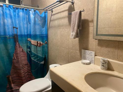 y baño con cortina de ducha, aseo y lavamanos. en blue angel 1, en Playa del Carmen