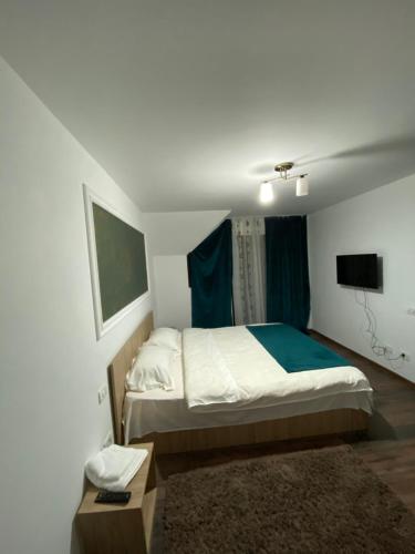 a bedroom with a bed and a television in it at Vila Sorina in Borşa