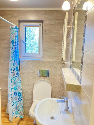 ヤスタルニャにあるDom Wczasowy Dorjaのバスルーム(洗面台、トイレ付)、窓が備わります。