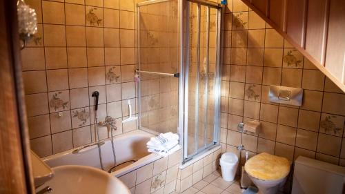 a bathroom with a shower and a toilet and a sink at Campo Allegre Duplex Ferienwohnung in Windeck