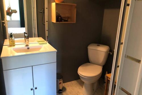 uma casa de banho com um WC branco e um lavatório. em Gîte de Ker Val em Étauliers
