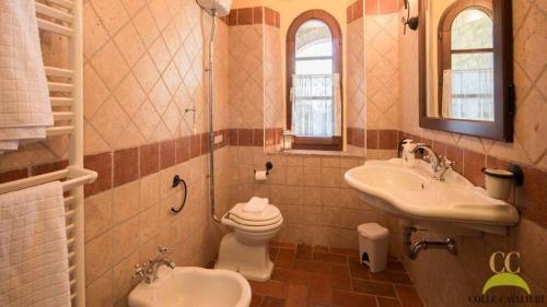 a bathroom with a toilet and a sink at Colle Cavalieri - Country House in Gavorrano
