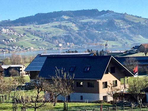 a house with a solar roof on top of it at Naturnoech in Unterägeri