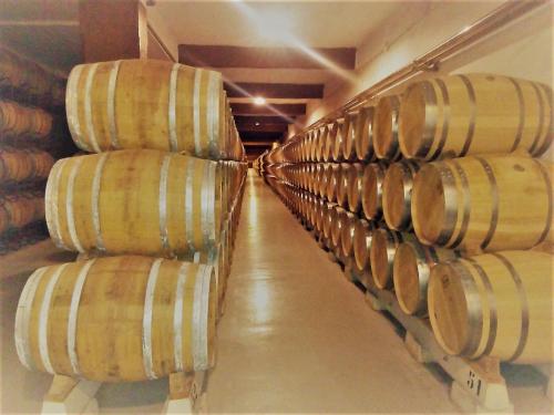 a row of wine barrels in a cellar at Parador de Santo Domingo de la Calzada in Santo Domingo de la Calzada