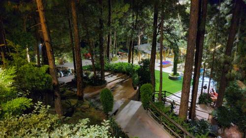 Zahrada ubytování Kasauli Hills Resort