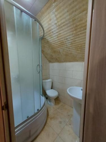 a bathroom with a shower and a toilet and a sink at Приватна Садиба "КУВІК" in Yasinya