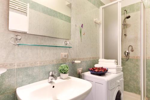 La salle de bains est pourvue d'un lavabo et d'un lave-linge. dans l'établissement San Pietro's Home, à Rome
