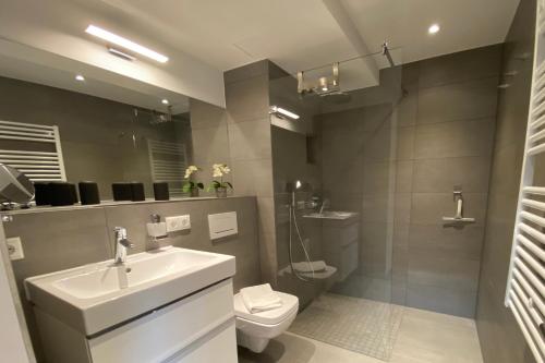 uma casa de banho com um lavatório, um WC e um chuveiro em Loftappartement Sundowner mit fantastischem Meerblick in Prora em Binz