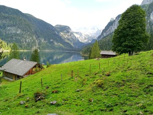 a grassy hill with a house and a lake at Apartmenthaus Hinterer in Bad Goisern