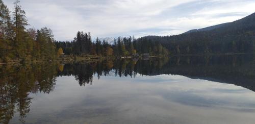 a large lake with trees on the side of it at Apartmenthaus Hinterer in Bad Goisern