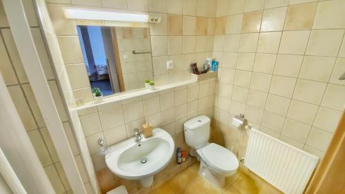 佐洛卡羅斯的住宿－Kála Wellness Apartman，一间带卫生间和水槽的浴室