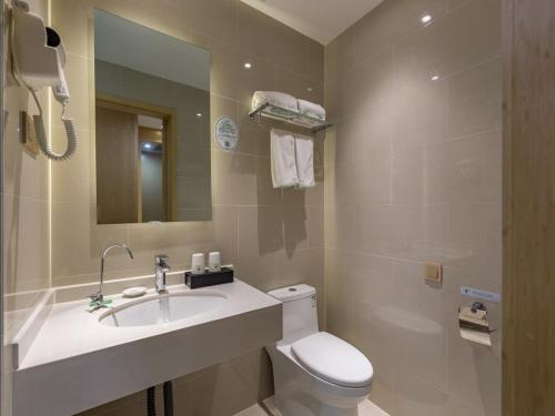 a bathroom with a sink and a toilet and a mirror at GreenTree Eastern Xuzhou High Speed Railway Station West Exit Station Hotel in Xuzhou