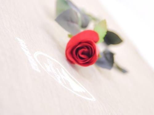 a red rose sitting on top of a cake at GreenTree Inn Henan Kaifeng Jinming District Jinming Square Little Song City Business Hotel in Kaifeng