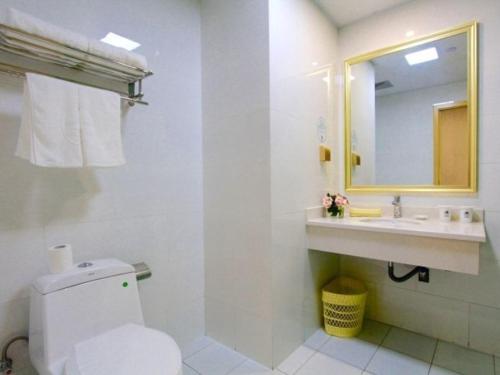 a bathroom with a toilet and a sink and a mirror at GreenTree Inn Zhejiang Jiaxing Xiuzhou District Wangjiangjin Town Business Hotel in Jiaxing
