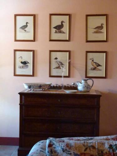 Gambar di galeri bagi Agriturismo I Romiti di Castiglione del Lago